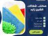 مكتب شغالات الشيخ زايد