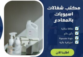 مكتب شغالات اسيويات بالمعادي