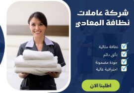 شركة عاملات نظافة المعادي