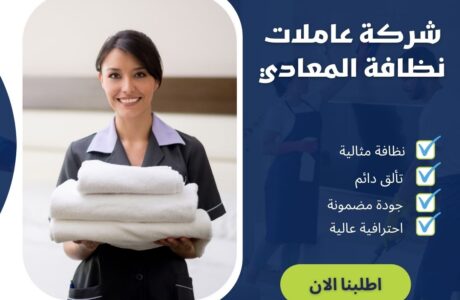 شركة عاملات نظافة المعادي