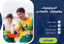 مكتب اندونيسيات وفلبينيات بالمعادي