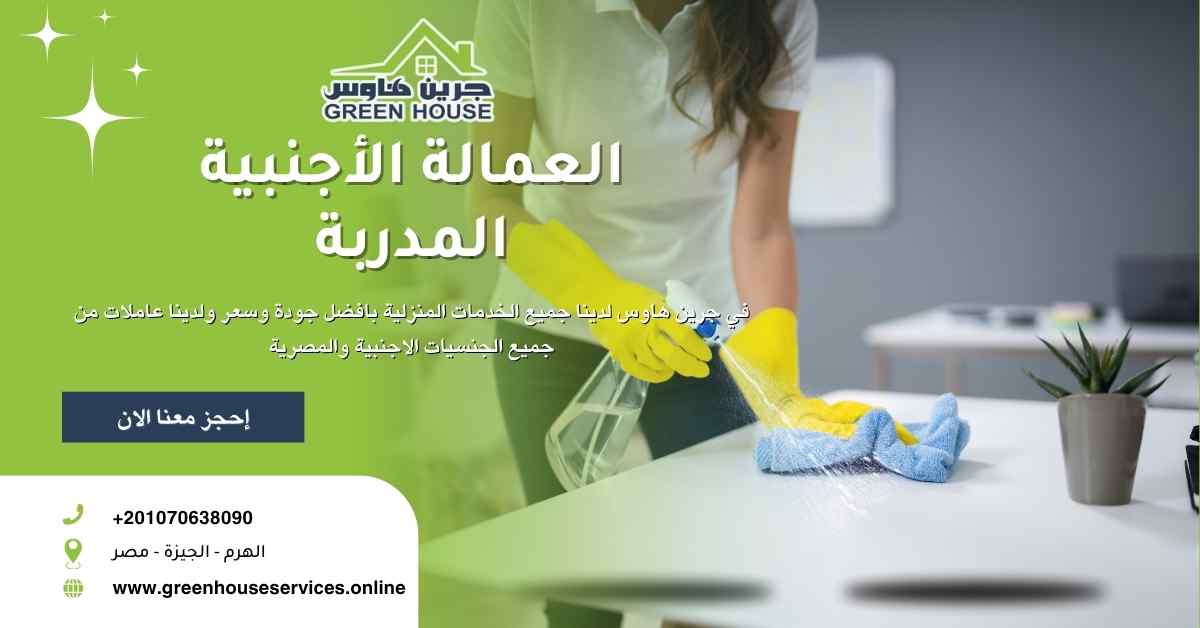 العمالة الاجنبية المدربه