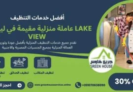عاملات منزلية مقيمة في ليك فيو