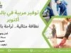 توفير مربية في بالم هيلز أكتوبر