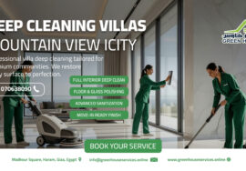 deep cleaning villas Mountain View iCity
