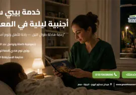 خدمة بيبي سيتر أجنبية ليلية في المعادي