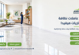 توفير عاملات نظافة ميانماريات ميفيدا