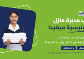 طلب مدبرة منزل إندونيسية ميفيدا