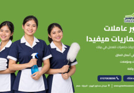 توفير عاملات ميانماريات ميفيدا
